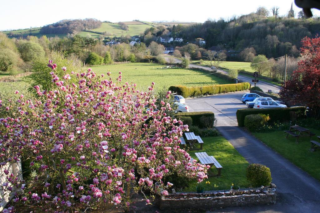 Furzeleigh Mill Inn Buckfastleigh Exterior photo